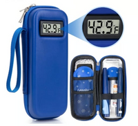 Blue Case + 2 x reusable ice packs