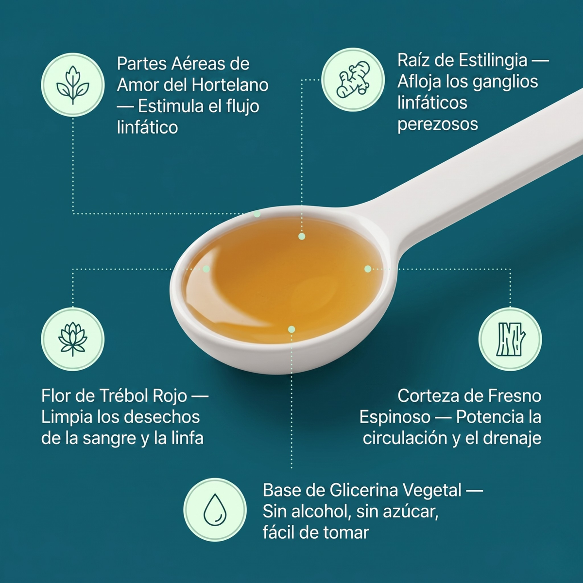 Nueva Fórmula de Máxima Potencia – Drenaje Linfático de SONVITAL™