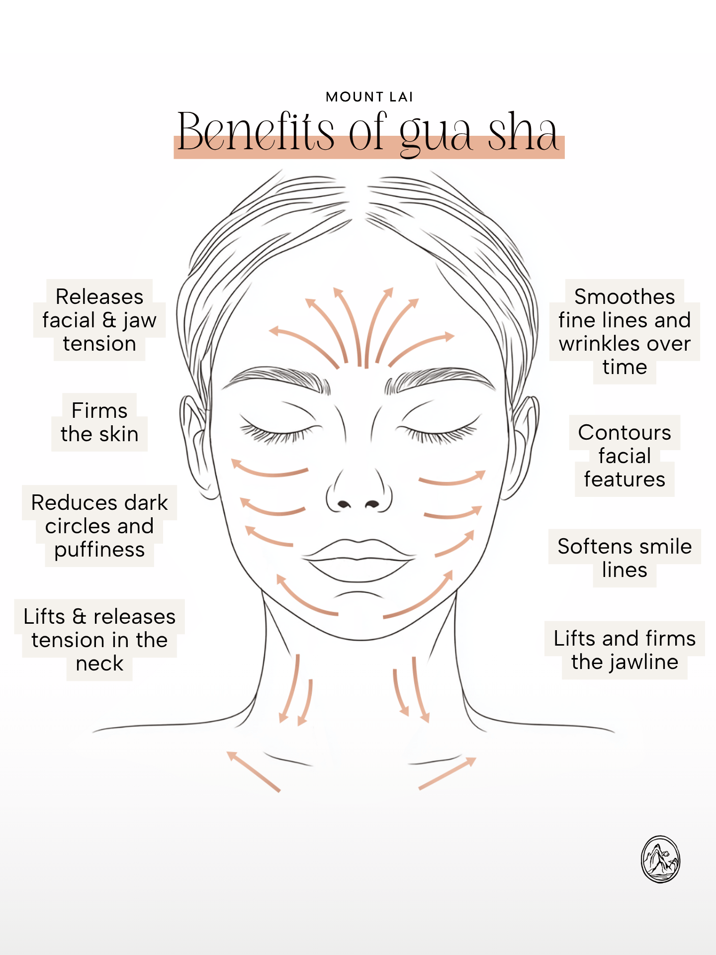 The Stainless Steel Gua Sha Facial Lifting Tool