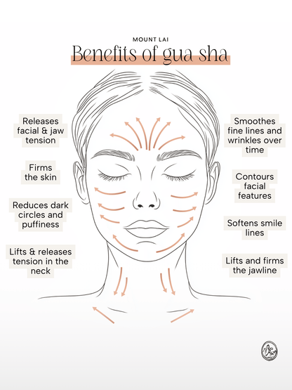 The Stainless Steel Gua Sha Facial Lifting Tool