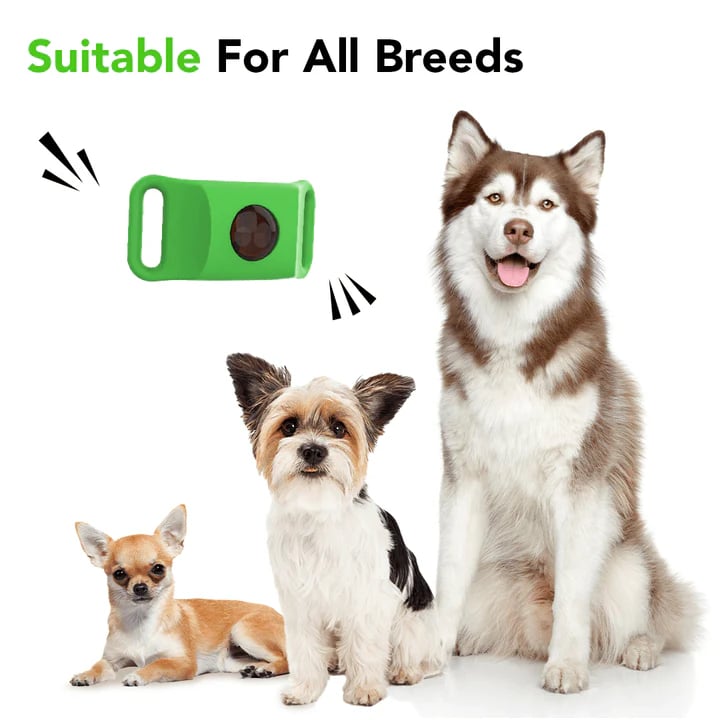 ⏰Last Day 66% OFF-🐕12 Months Flea and Tick Free