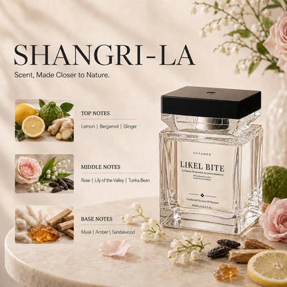 Luxury Scent Mist Diffuser