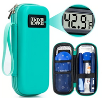 Green Case + 2 x reusable ice packs