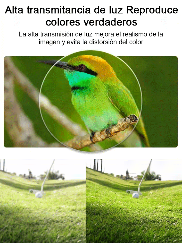 Protege tus ojos con inteligencia: Filtro azul y enfoque automático en un diseño único.