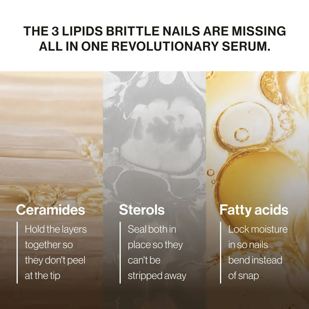 LIPIFIL-3 COMPLEX™ NAIL GROWTH SERUM