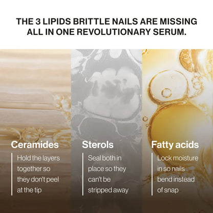 LIPIFIL-3 COMPLEX™ NAIL GROWTH SERUM